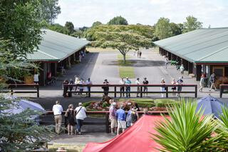 Karaka's outdoor parade ring.